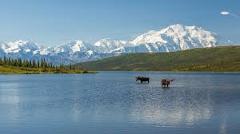 Drop off to Denali Park