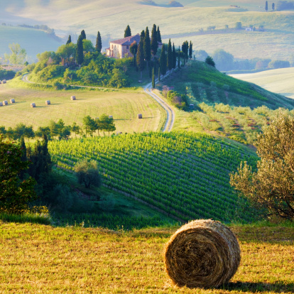 Bike Tuscany