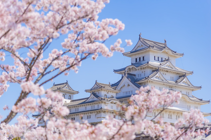 Cycle Japan