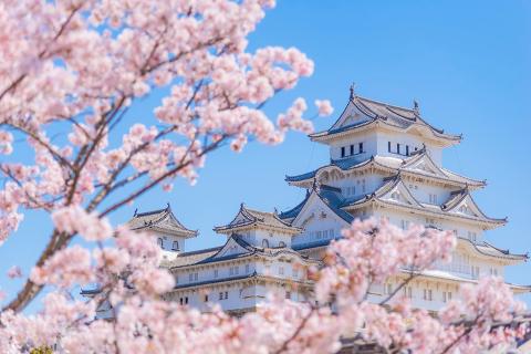 Cycle Japan