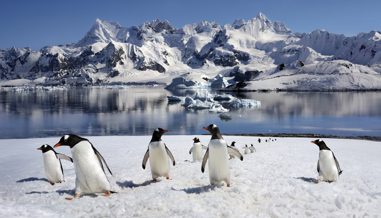 Journey to the Antarctic Circle (Ocean Endeavour)