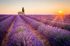 Bike Provence.