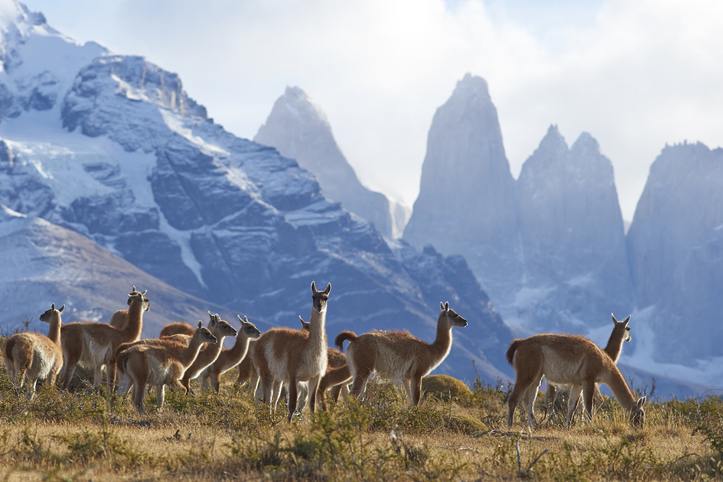 Classic Hikes of Patagonia