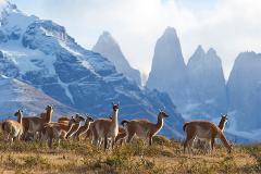 Classic Hikes of Patagonia