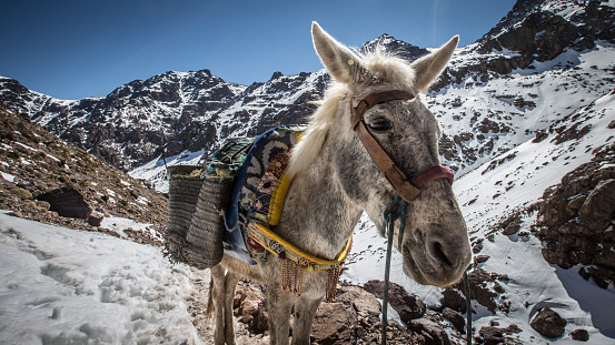 Morroco Mount Toubkal Trek