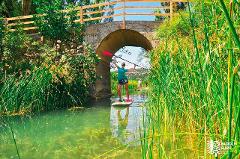 Relaxing SUP (Stand-Up Paddleboard) School and Baćina Lakes Tour