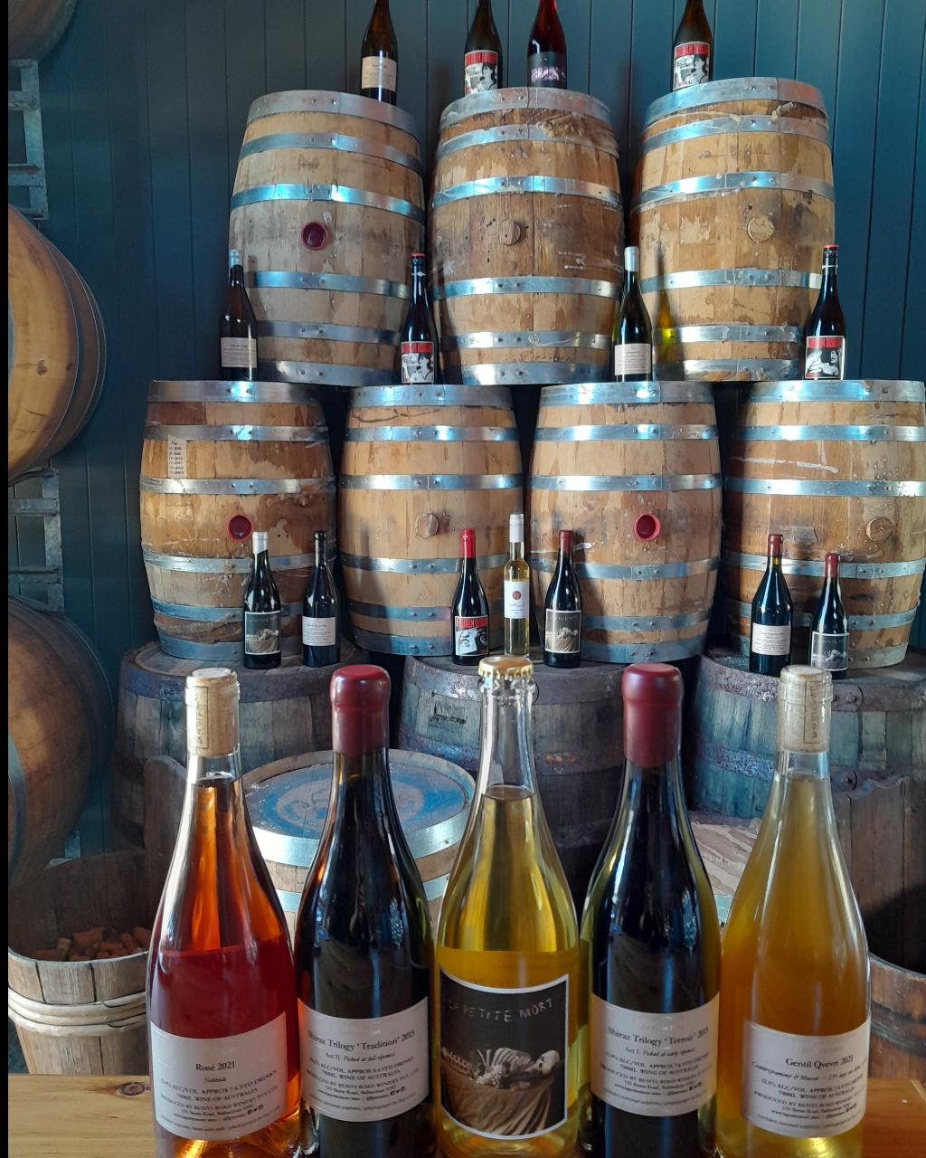Casual Wine Tasting