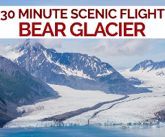 *Bear Glacier Scenic Flight