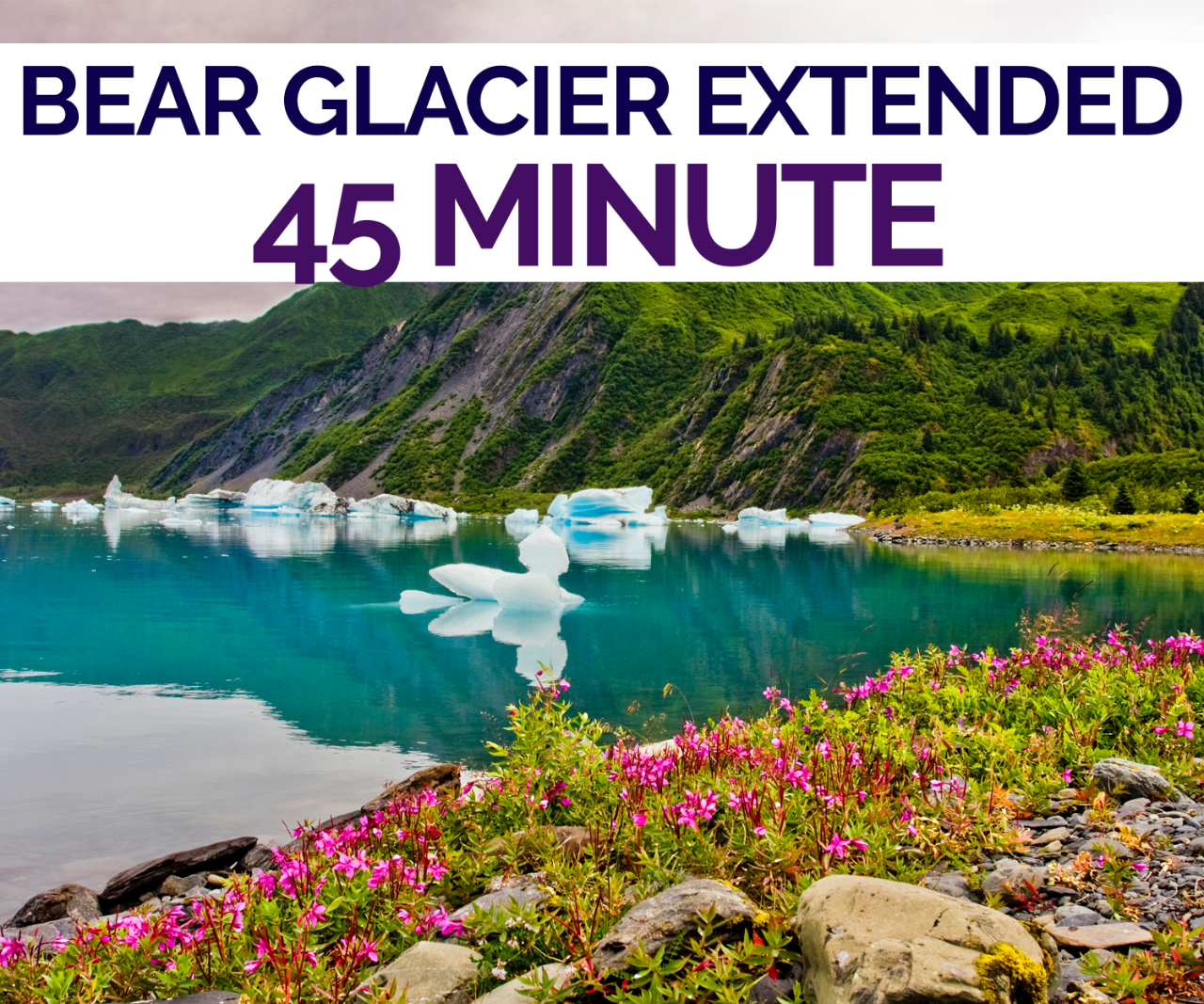 *Extended Bear Glacier Scenic Flight