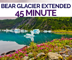 *Extended Bear Glacier Scenic Flight