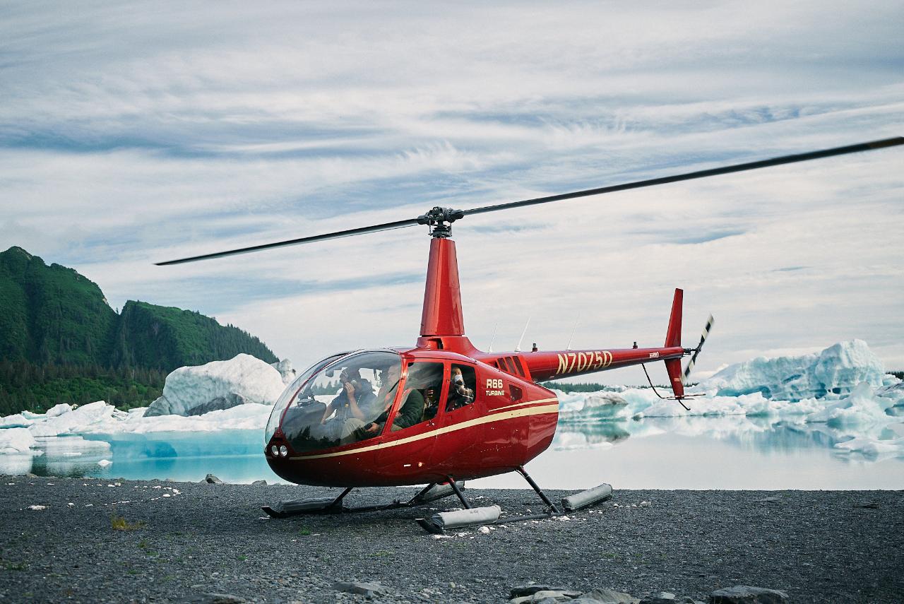 Bear Glacier Flight and Beach Landing