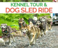 Turning Heads Kennel Tour & Dog Sled Ride