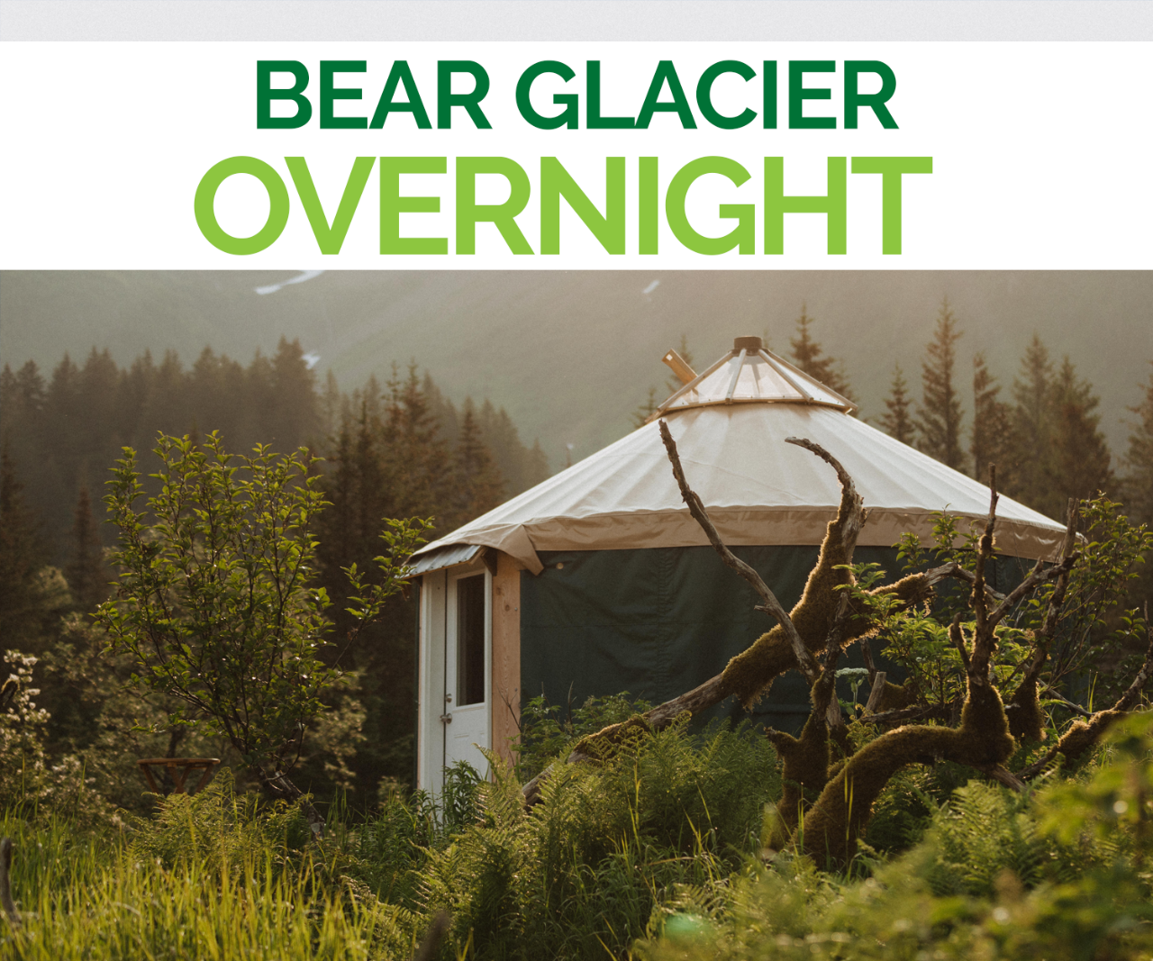 Bear Glacier Yurt Stay