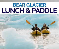 Lunch at the Bear Glacier Lagoon 