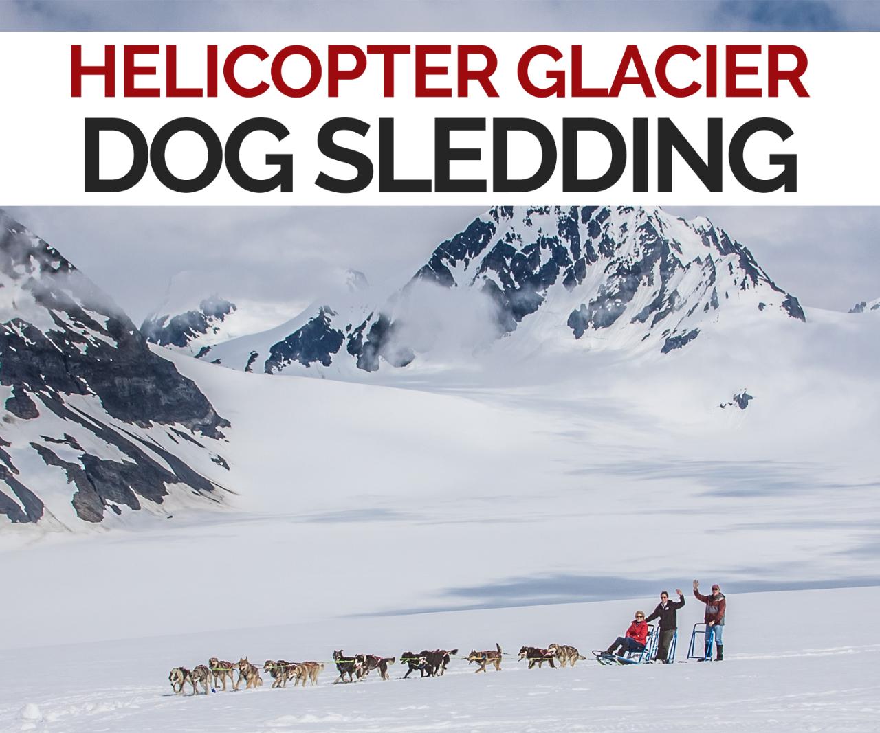 Helicopter Glacier Dog Sledding