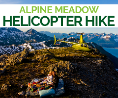 Alpine Hike & Picnic