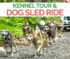 Helicopter Kennel Tours
