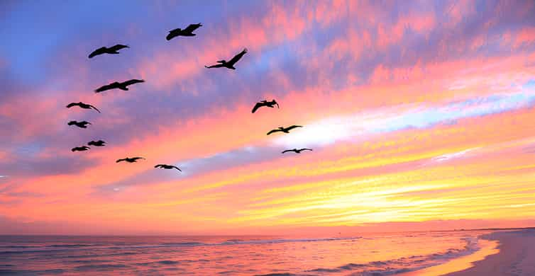 Crystal River Sunset Boat Tour