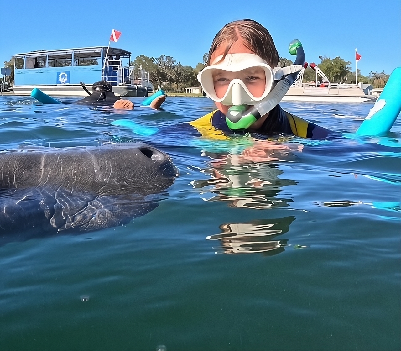 Swim With Manatees - Private Tour With In-Water Guide/Free Photos