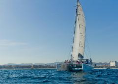 2 Hours PRIVATE CATAMARAN up to 35 Guests Sailing Experience Barcelona