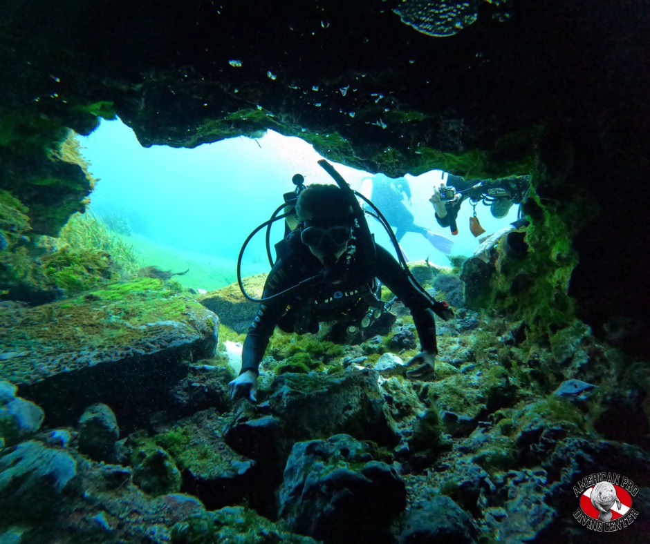 Teen Scuba Camp