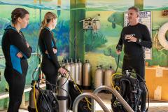 3-Day PADI Open Water Dive Class