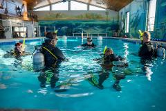 PADI Open Water Dive Class