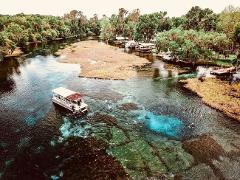 Rainbow River - Snorkel or Dive