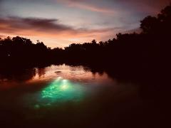 Rainbow River - Night Dive Trip