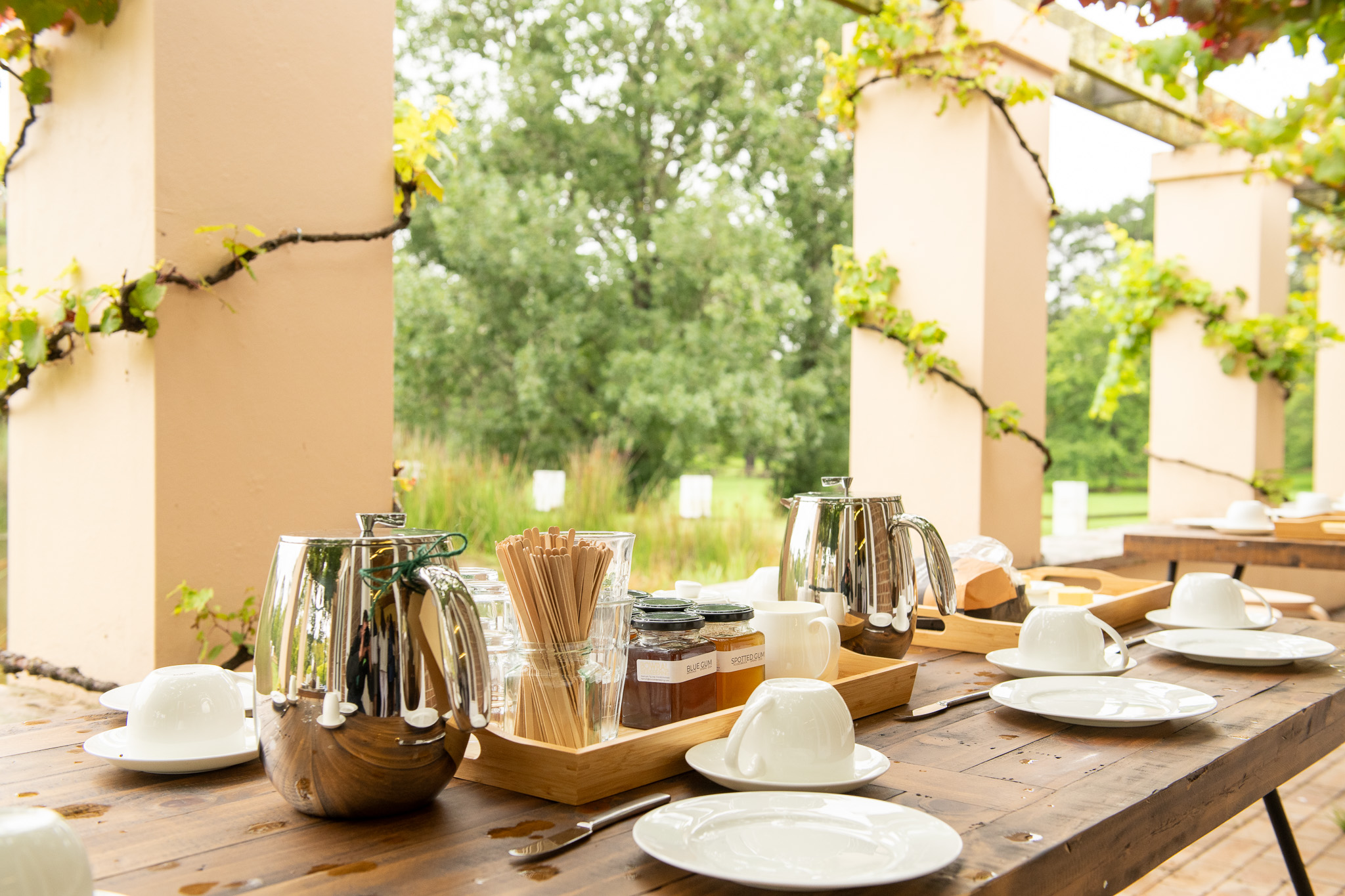 Honey Farm Tour and Honey Tasting