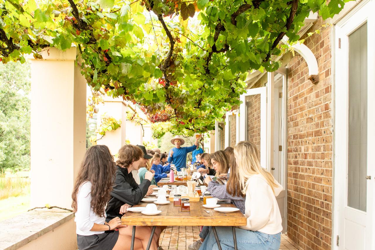 Honey Farm Tour and Honey Tasting