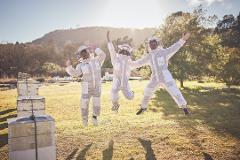 Honey & Hive. Open a hive, honey tasting with morning tea