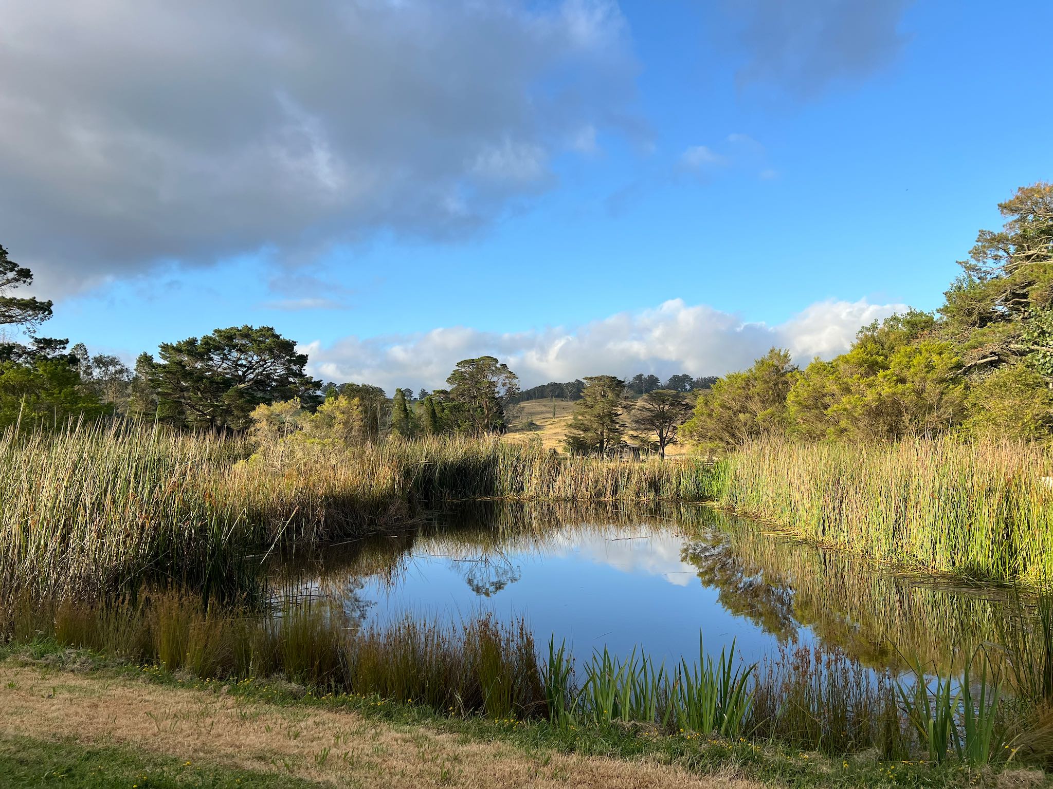 Honey Farm Tour and Honey Tasting