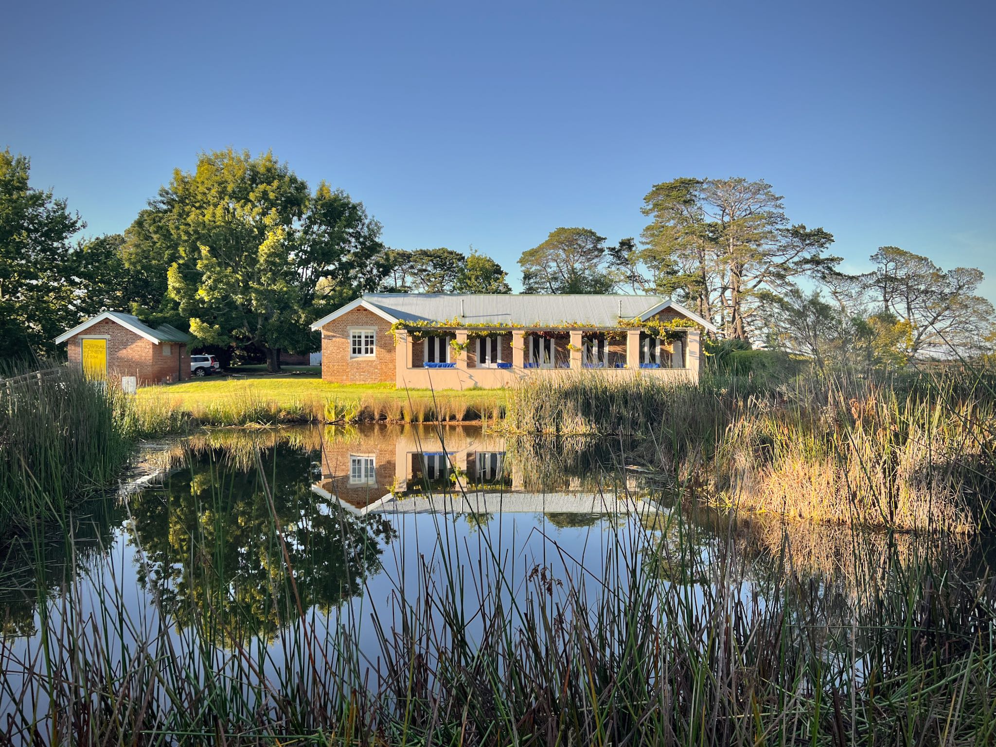 Honey Farm Tour and Honey Tasting
