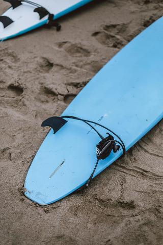 pexels_alexa_fernando_1335156_2570905