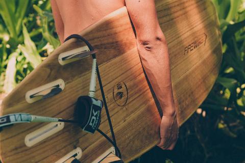 pexels_ging_ang_861233_1753689