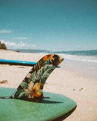 Surf Trip Semi Private (2 px)