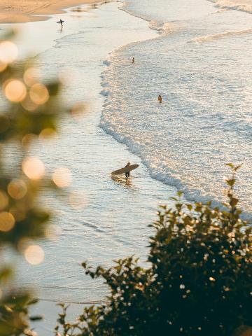pexels_matthardy_12319321