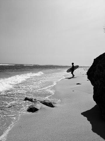 pexels_valeriiamiller_3361141