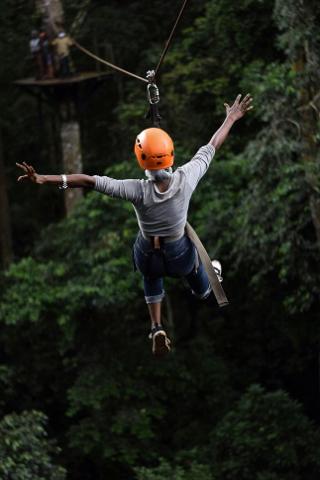 ZIplines / Canopy