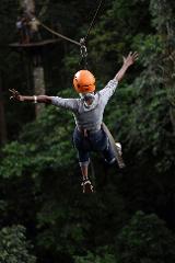 ZIplines / Canopy