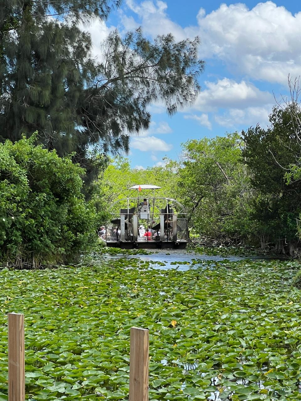 Everglades Airboat Tour | 60-Min Ride + Pickup