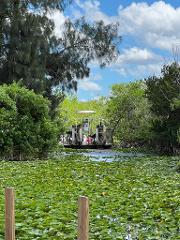 Everglades Airboat Tour | 60-Min Ride + Pickup