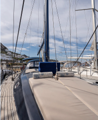 Private Half Day Cruise