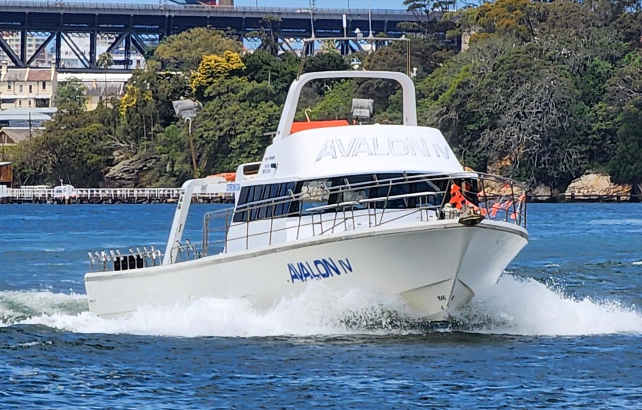 Avalon IV: REEF FISHING - 1/2 DAY Exclusive Hire for up to 18pax