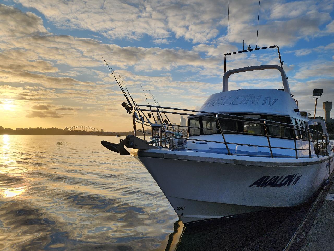 Avalon IV: REEF FISHING - 1/2 DAY Exclusive Hire for up to 18pax