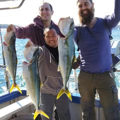 Susannah: Sports Fishing - 1/2 Day Exclusive Hire for up to 10pax