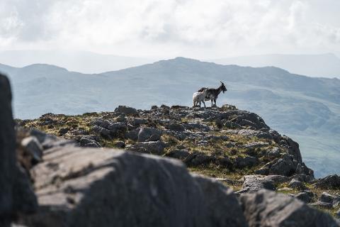 487812429_1308958267422873_7409871276661359332_n