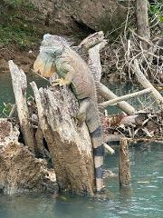 Nature & Wildlife Escape (2 Nights, 1 Scenic Wildlife Float)