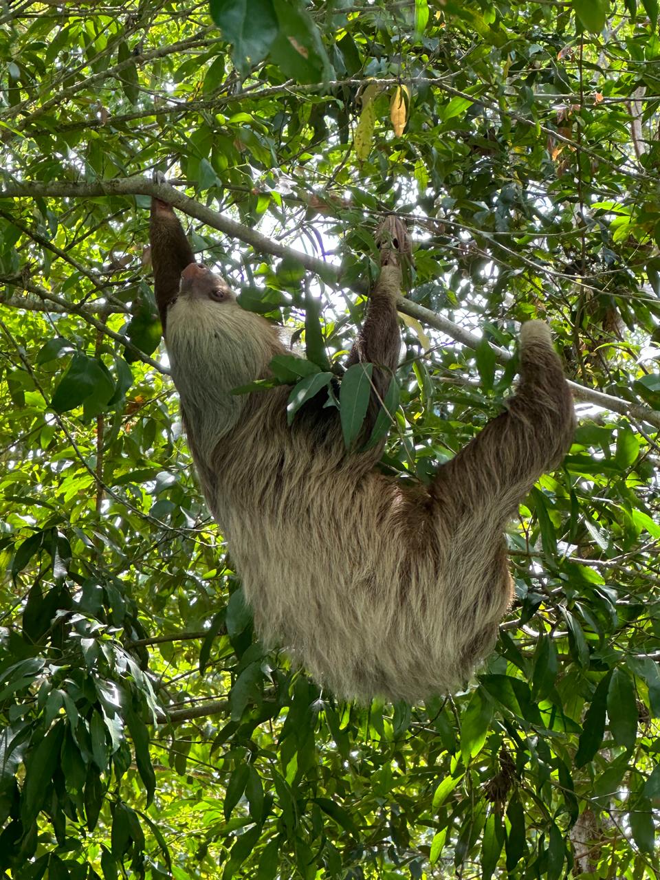 Scenic wildlife float experience